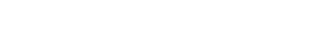 GDPRWise Logo